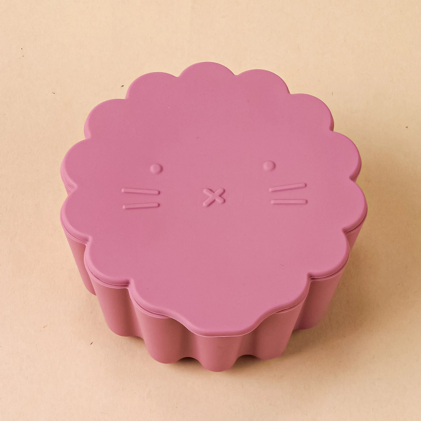 Silicone Lunch Box with Lid Microwave Safe Food Storage