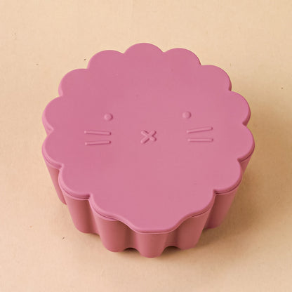 Silicone Lunch Box with Lid Microwave Safe Food Storage