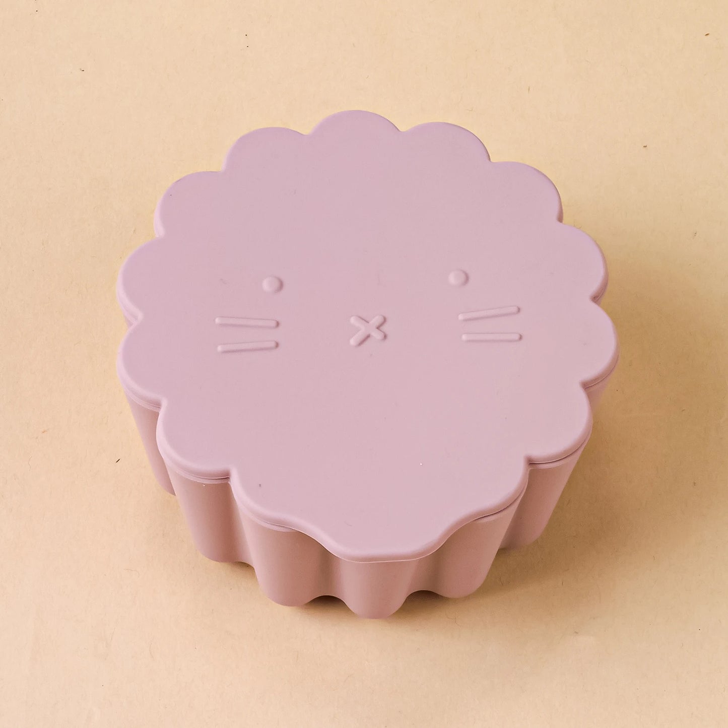 Silicone Lunch Box with Lid Microwave Safe Food Storage