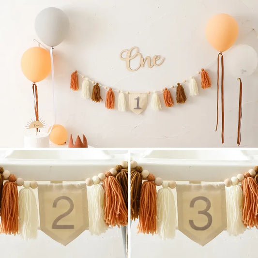 Baby Birthday Tassel Banner Milestone Party Decoration
