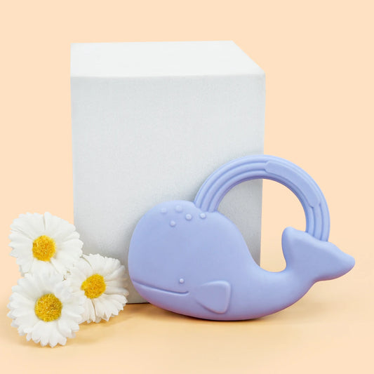 Baby Cartoon Cloud Star Whale Teether Set