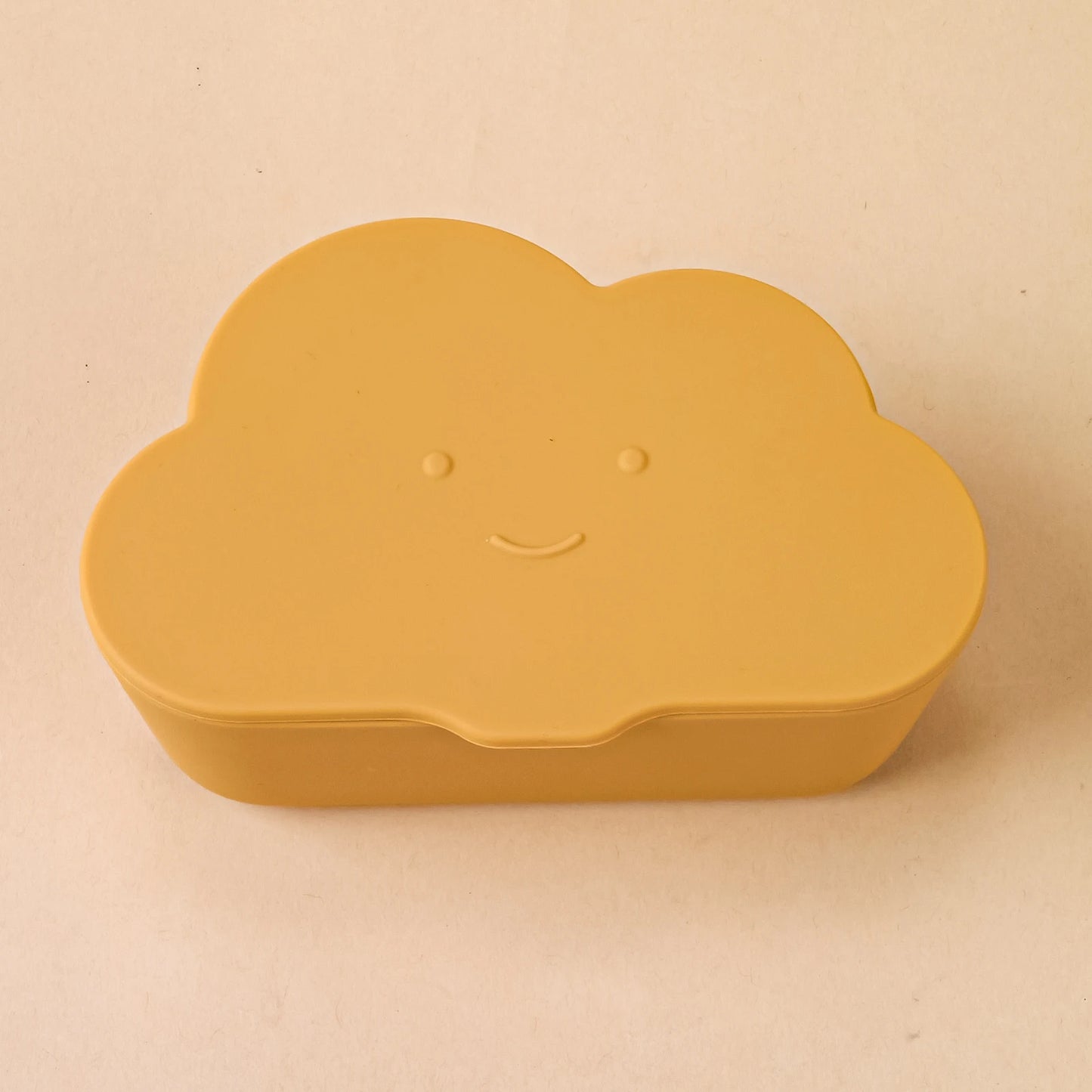 Silicone Lunch Box with Lid Microwave Safe Food Storage