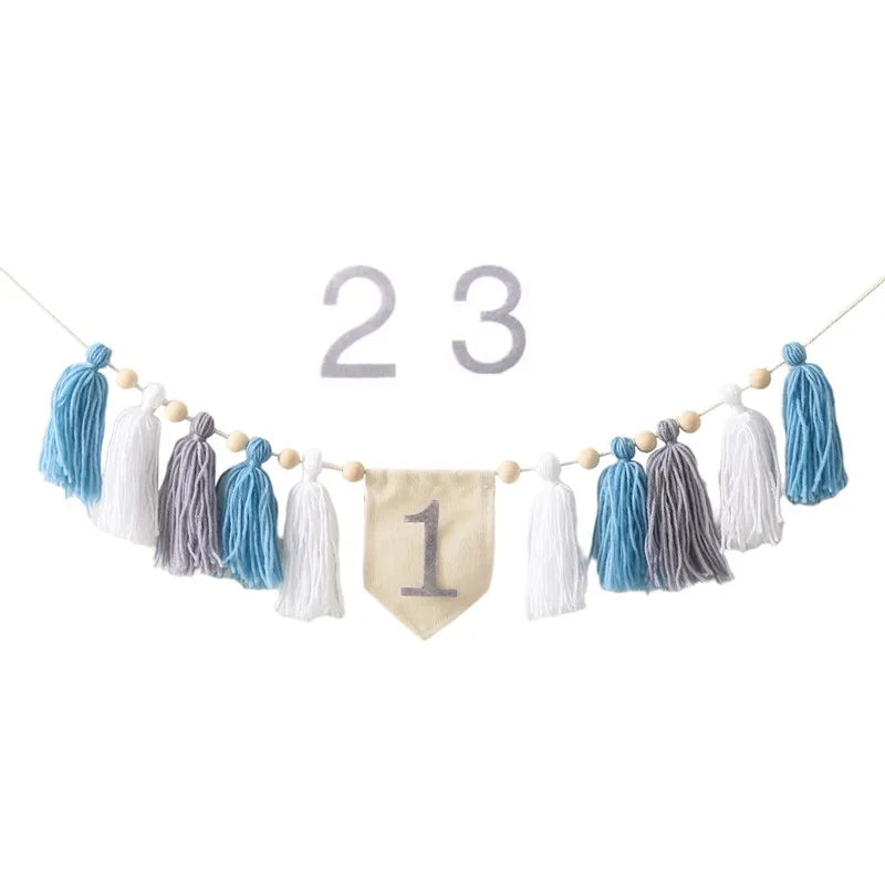 Baby Birthday Tassel Banner Milestone Party Decoration