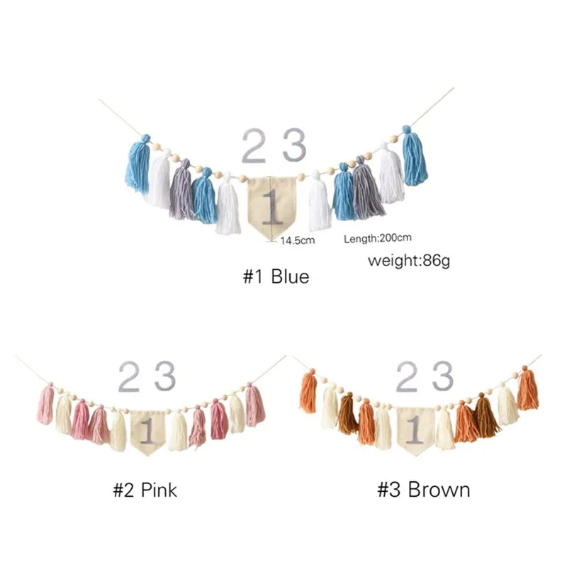 Baby Birthday Tassel Banner Milestone Party Decoration