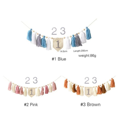 Baby Birthday Tassel Banner Milestone Party Decoration