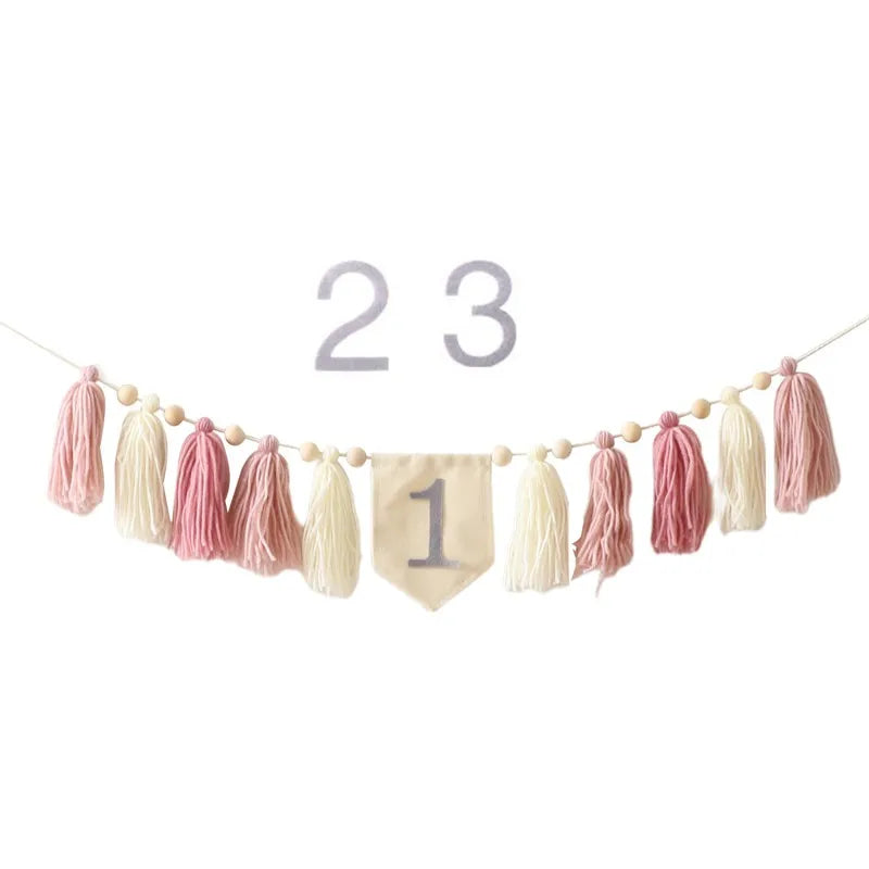 Baby Birthday Tassel Banner Milestone Party Decoration